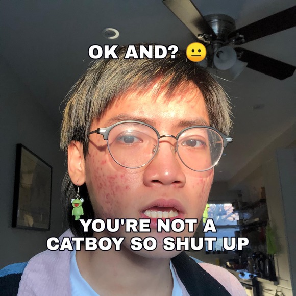 tqtoai